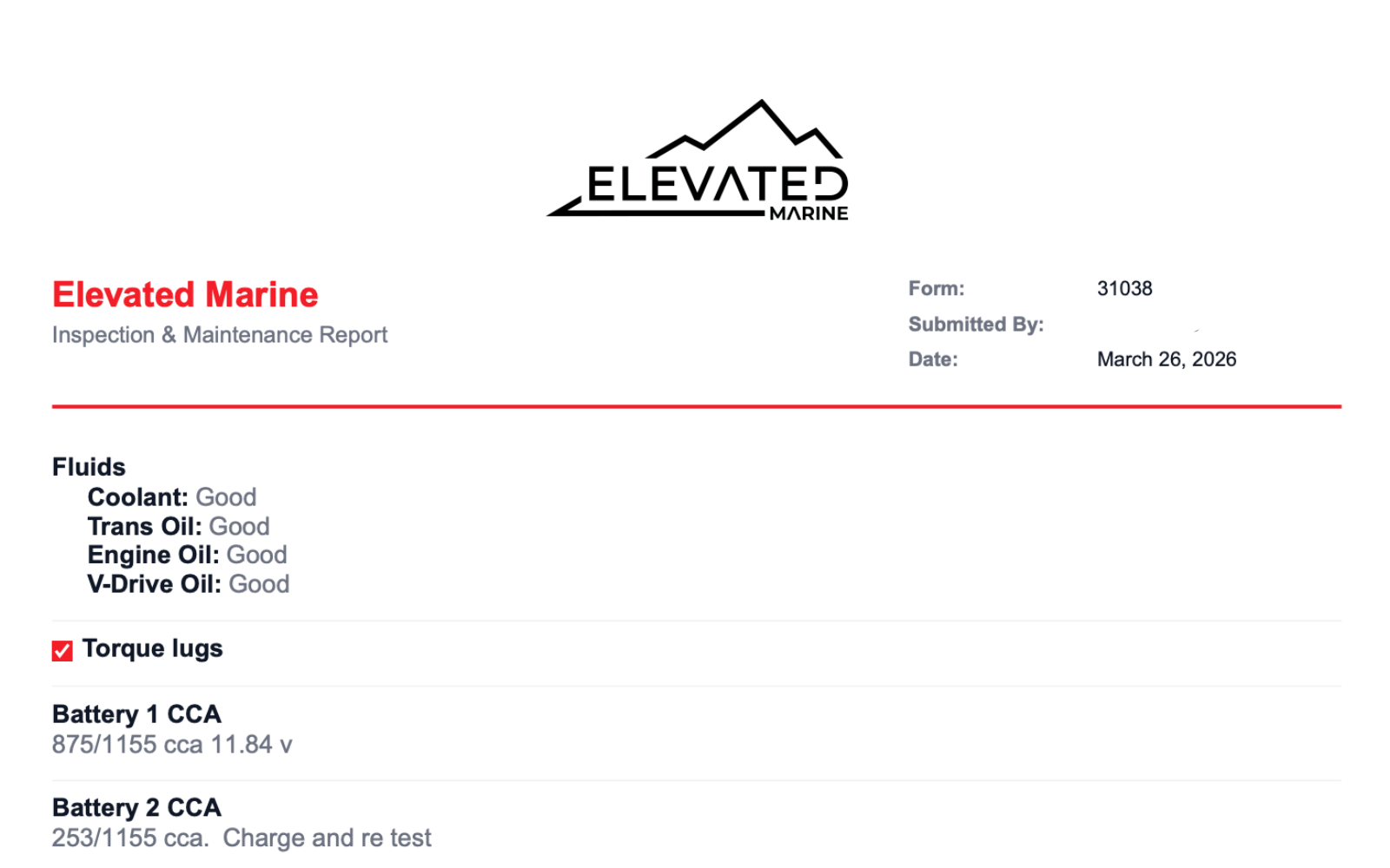 Generated PDF Report